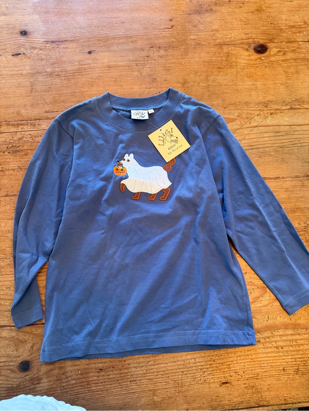 Luigi Kids' Blue Long-Sleeve Tee with Ghost Dog Graphic